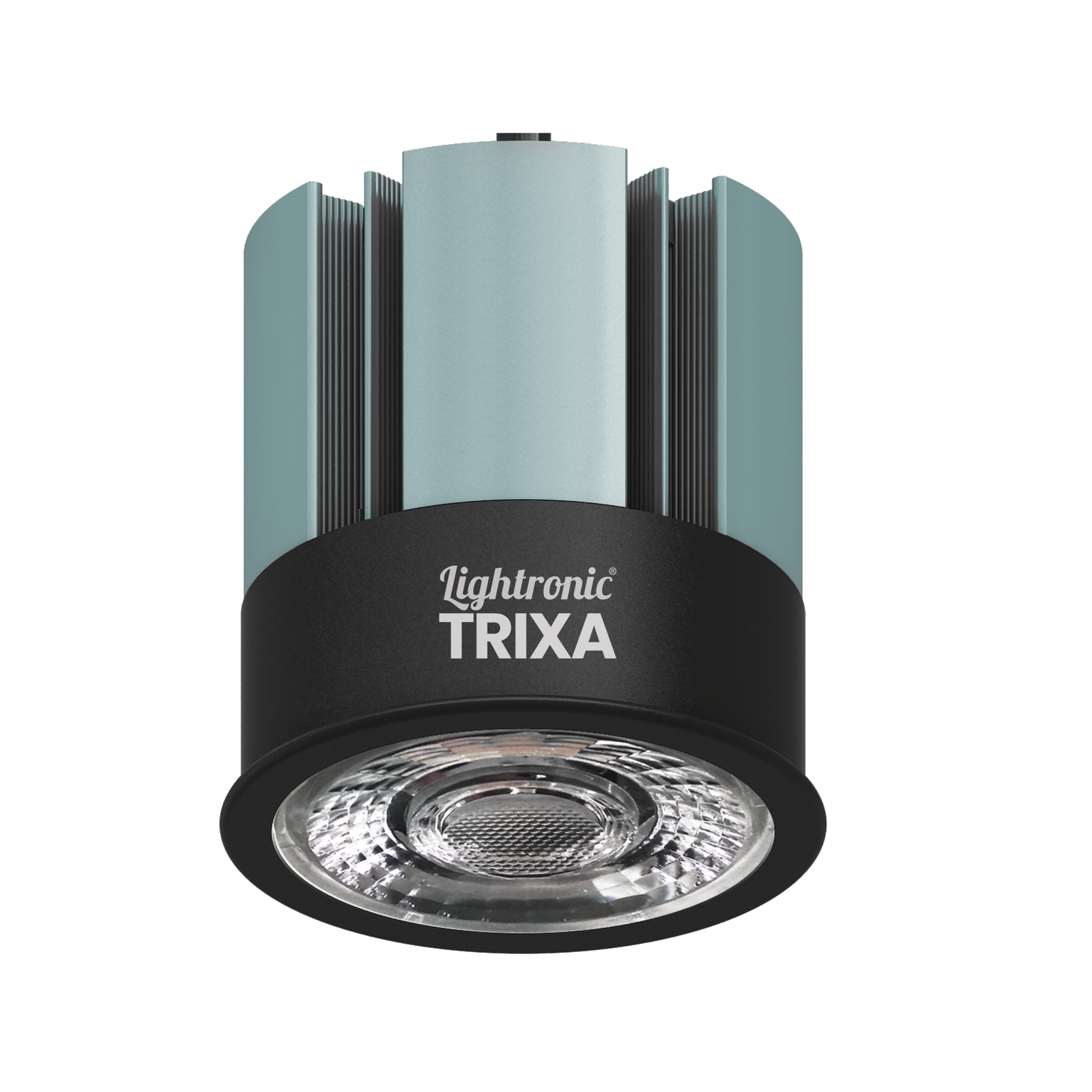 TRIXA 08W